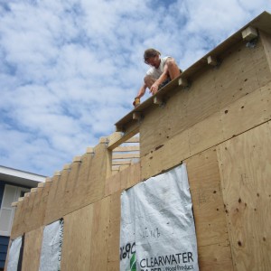 Roof and Rafters          